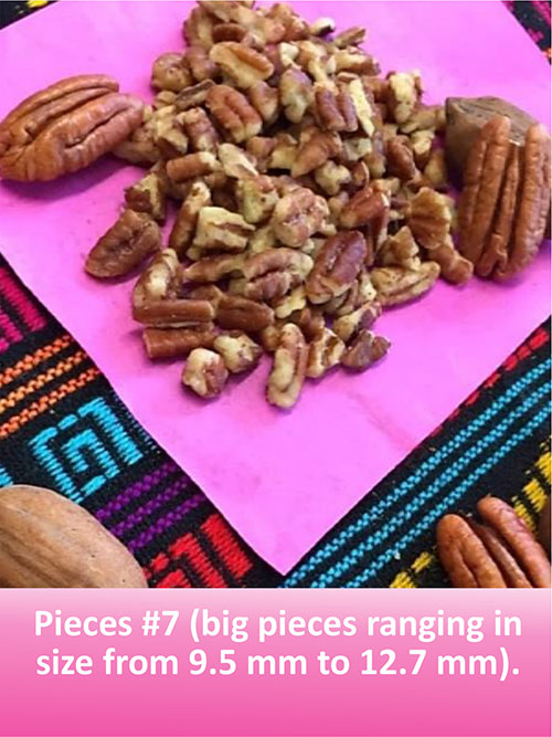 pecan pieces bulk